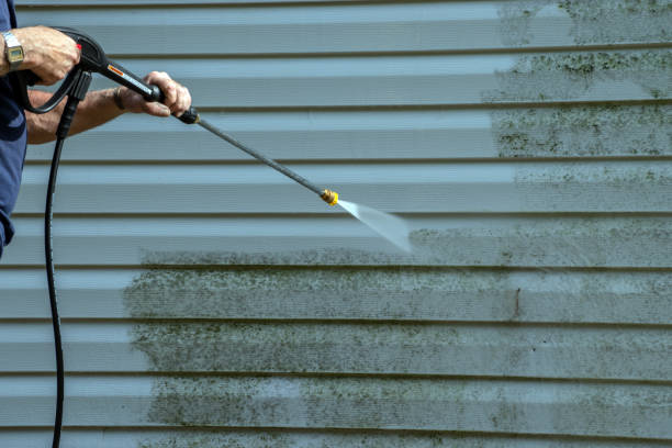 Best Post-Construction Pressure Washing  in Meadow Les, AK